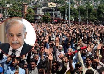 PoK Protest Day 24: अवामी एक्शन कमेटी का बड़ा दावा, प्रदर्शन के बीच पाकिस्तान सरकार और सेना पर लगाए गंभीर आरोप
