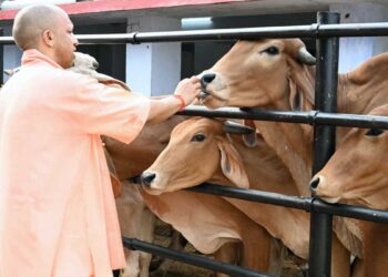 UP News: गो पालन करने वालों के लिए Yogi Government का बड़ा Plan, दूध के साथ गोमूत्र से भी होगी कमाई